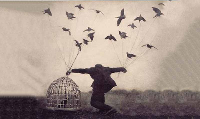 Kurban Da Değilsin, Katil De! Sadece Yaşa...